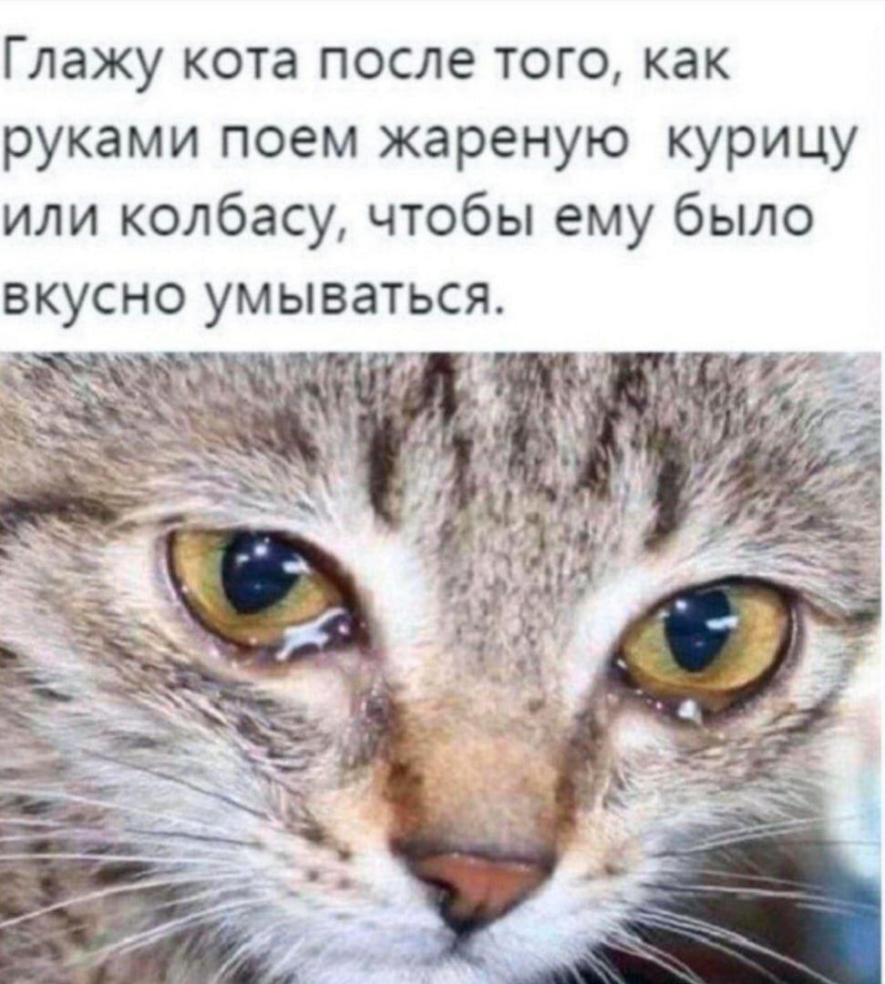 Глажу кота после того, как руками поем жареную курицу или колбасу, чтобы ему было вкусно умываться.