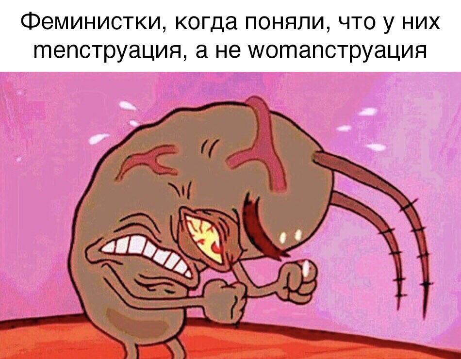 Феминистки, когда поняли, что у них менструация, а не womanstration