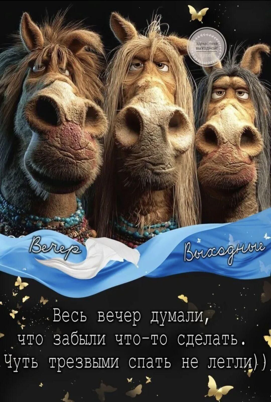 Вечер                                    Выходные
Весь вечер думали, что забыли что-то сделать. Чуть трезвыми спать не легли))