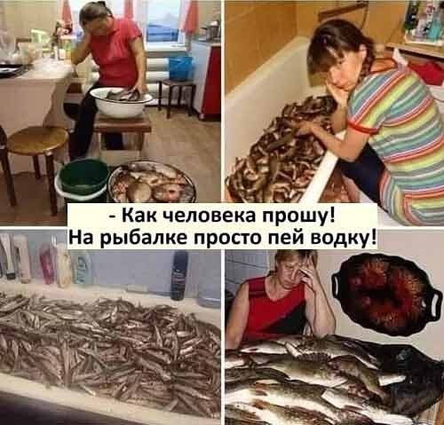 — Как человека прошу! На рыбалке просто пей водку!