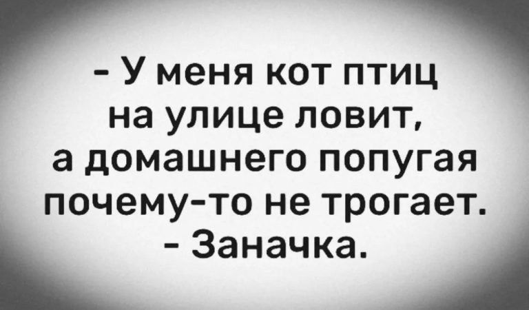 - У меня кот птиц на улице ловит, а домашнего попугая почему-то не трогает. - Заначка.