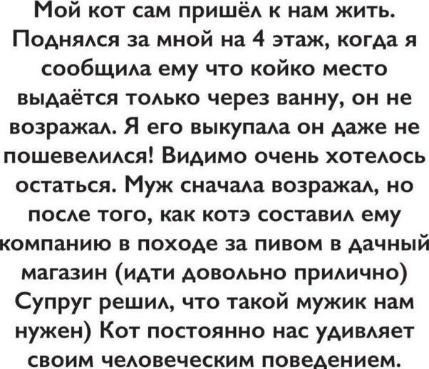Мой кот сам пришёл к нам жить. Поднялся за мной на 4 этаж, когда я сообщила ему что койко место выдаётся только через ванну, он не возражал. Я его выкупала он даже не пошевелился! Видимо очень хотелось остаться. Муж сначала возражал, но после того, как кот составил ему компанию в походе за пивом в дачный магазин (идти довольно прилично) Супруг реши