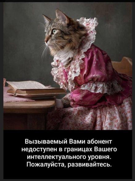 Вызываемый Вами абонент недоступен в границах Вашего интеллектуального уровня. Пожалуйста, развивайтесь.