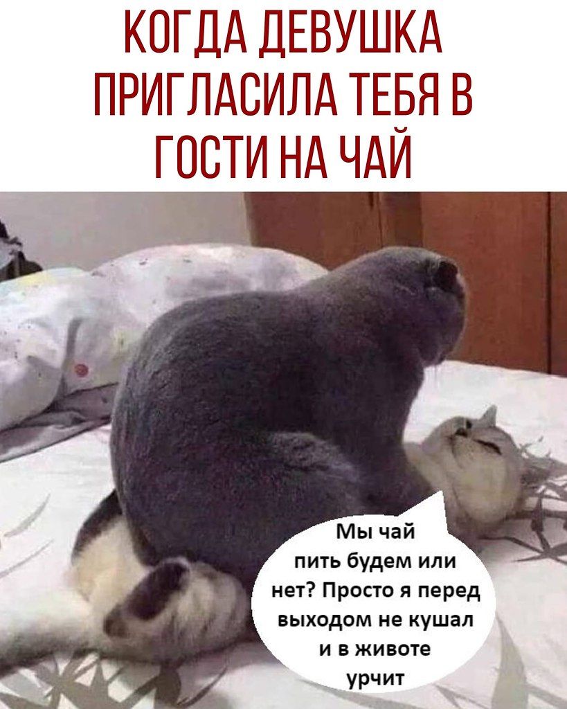 КОГДА ДЕВУШКА ПРИГЛАСИЛА ТЕБЯ В ГОСТИ НА ЧАЙ\nМы чай пить будем или нет? Просто я перед выходом не кушал и в животе урчит