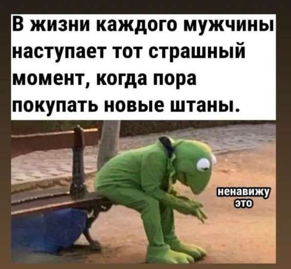 В жизни каждого мужчины наступает тот страшный момент, когда пора покупать новые штаны. ненавижу это