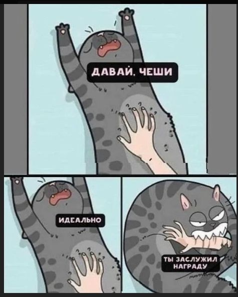 Давай, чеши!
Идеально
Ты заслужил награду