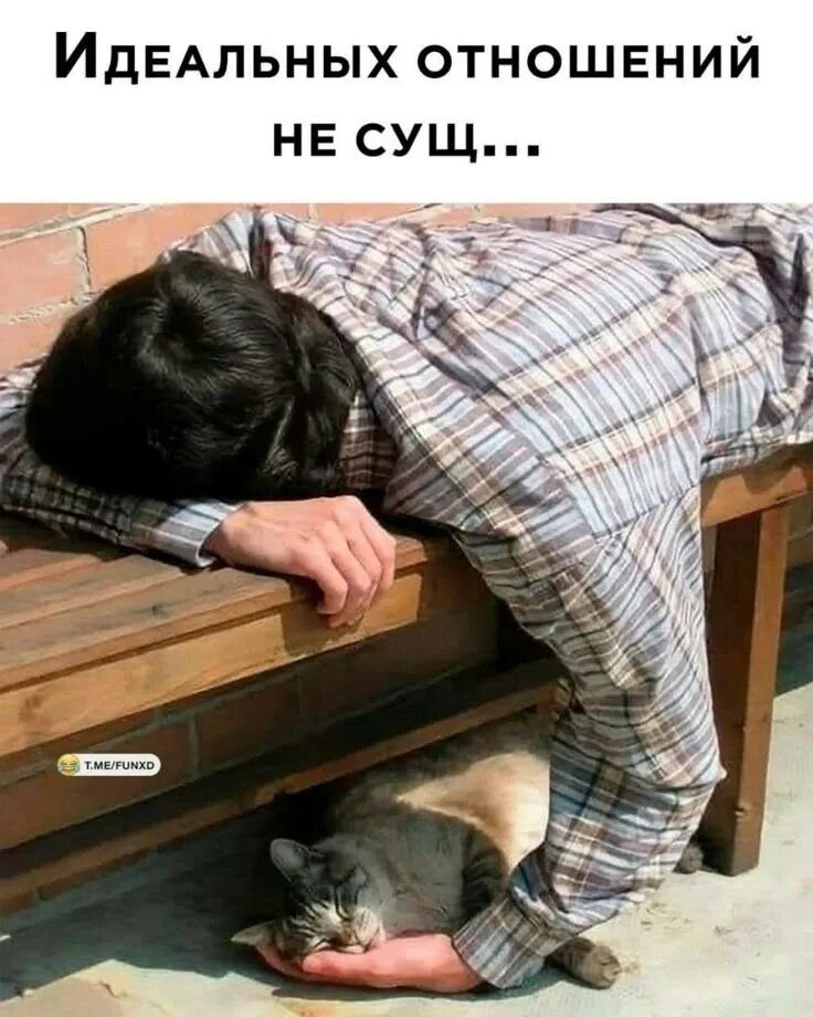 Идеальных отношений не сущ...