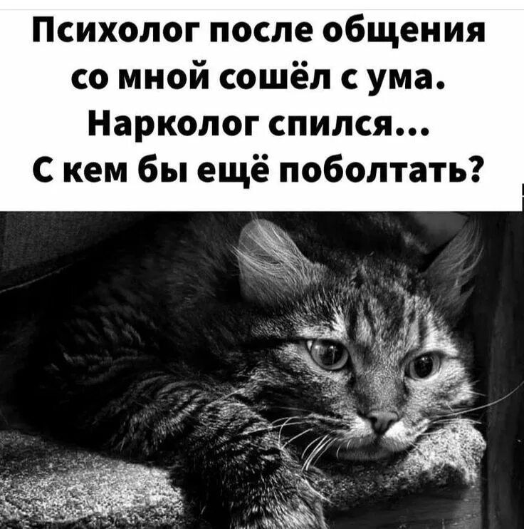Психолог после общения со мной сошёл с ума. Нарколог спился... С кем бы ещё поболтать?