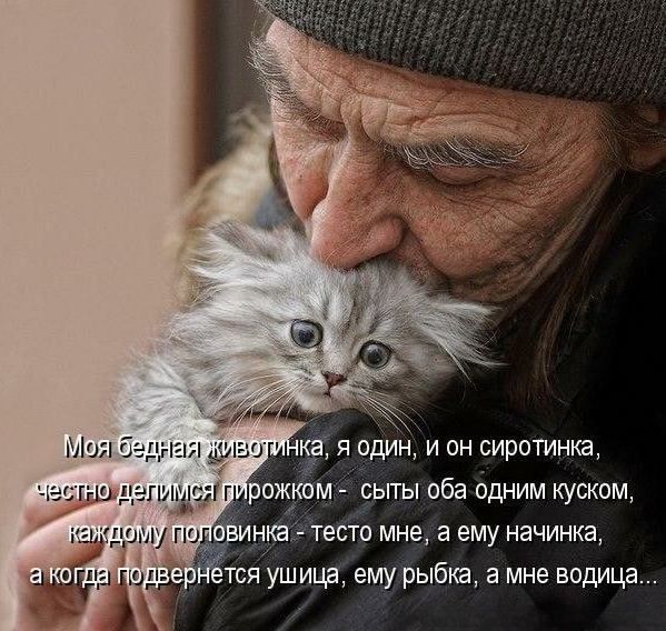 Моя бедная животинка, я один, и он сиротинка, честно дегимся пирожком - сыты оба одним куском, каждому половинка - тесто мне, а ему начинка, а когда подвернется ушица, ему рыбка, а мне водица...