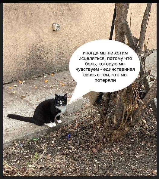 иногда мы не хотим исцеляться, потому что боль, которую мы чувствуем - единственная связь с тем, что мы потеряли