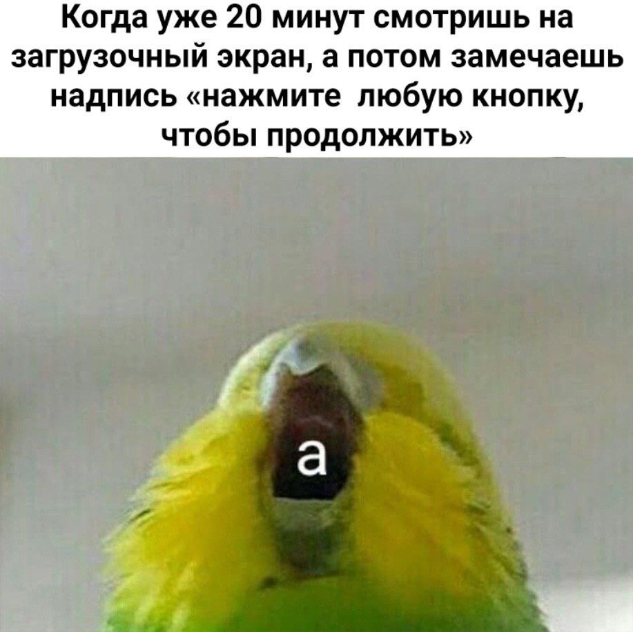 Когда уже 20 минут смотришь на загрузочный экран, а потом замечаешь надпись «нажмите любую кнопку, чтобы продолжить»