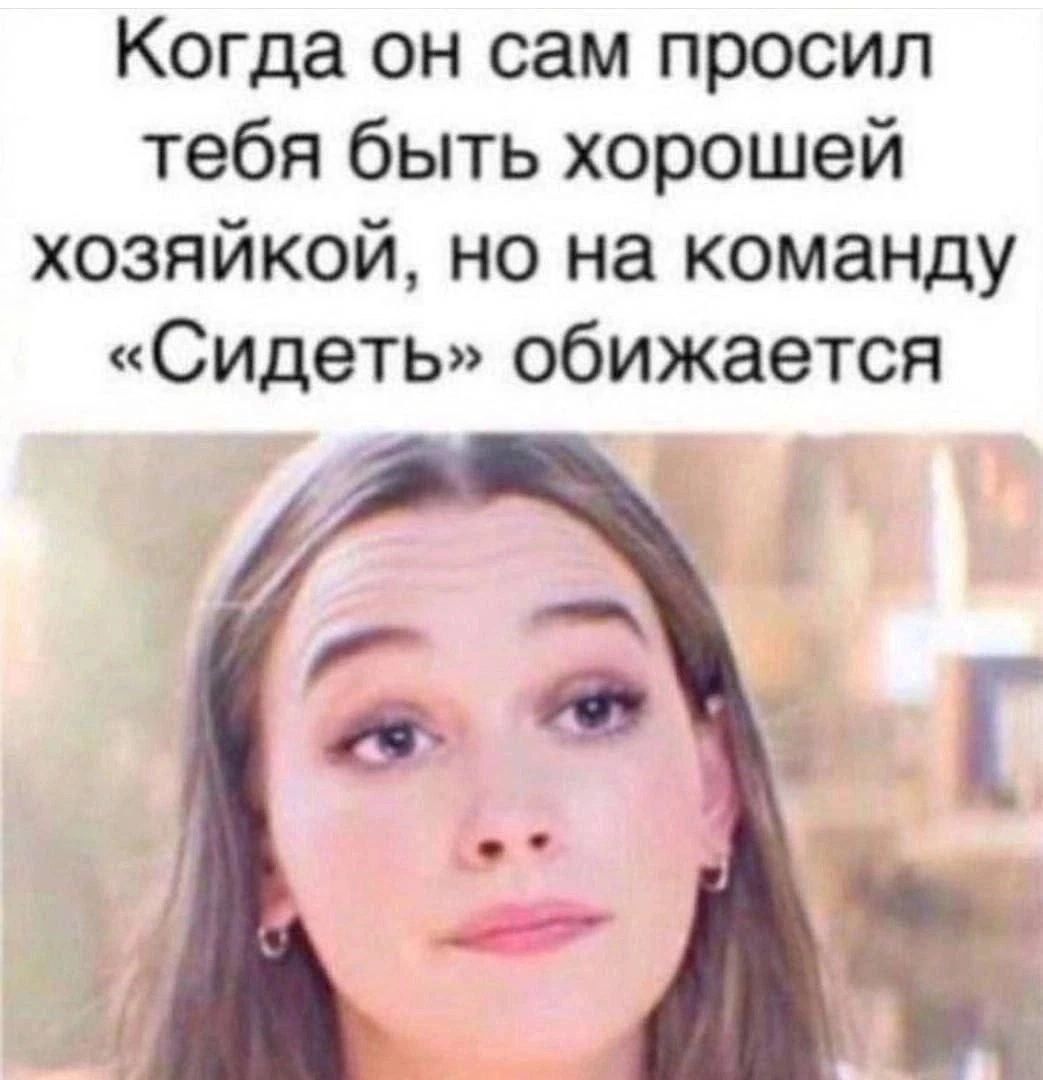Когда он сам просил тебя быть хорошей хозяйкой, но на команду «Сидеть» обижается