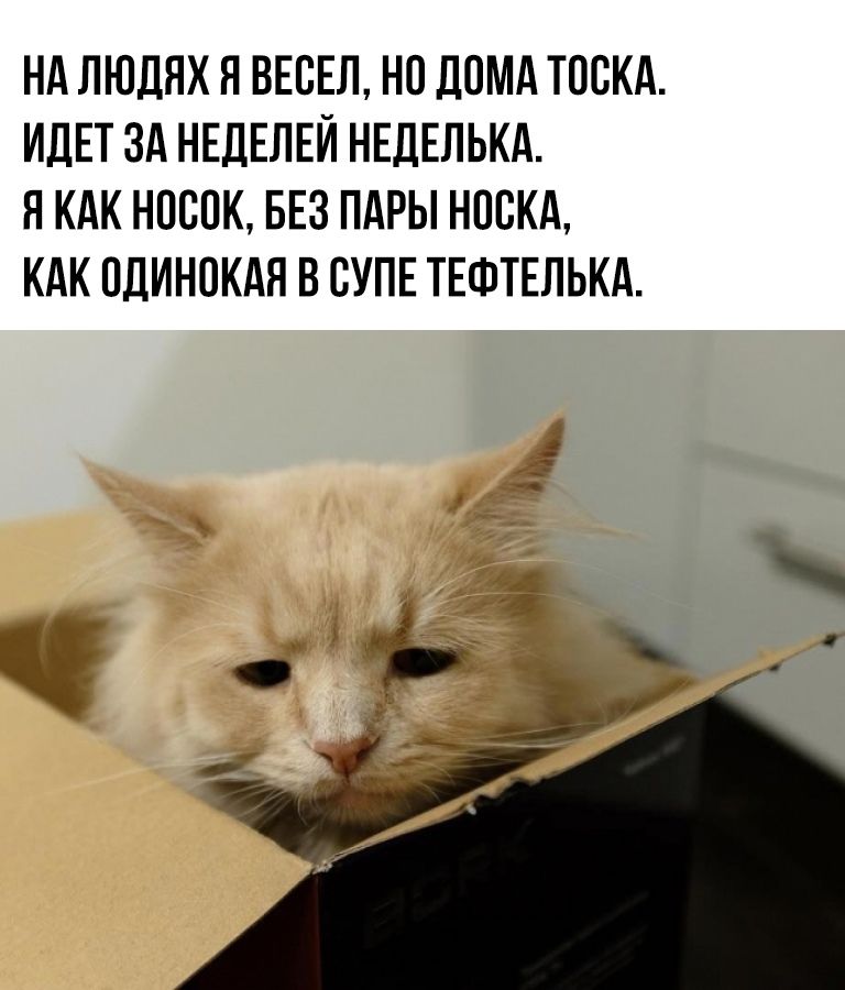 На людях я весел, но дома тоска. Идёт за неделей неделька. Я как носок, без пары носка, как одинокая в супе тефтелька.