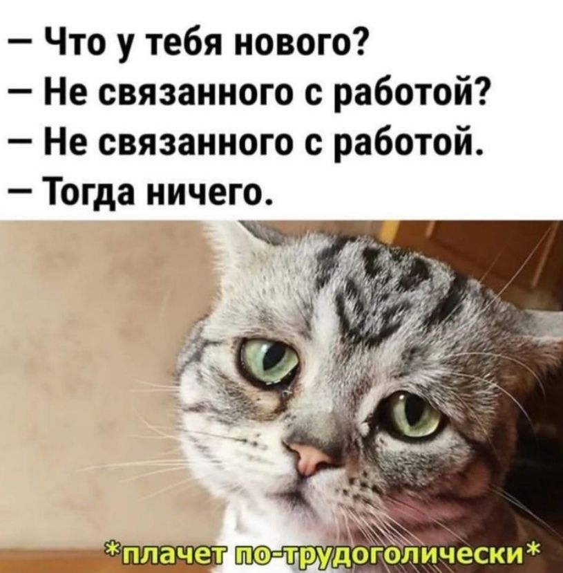 — Что у тебя нового?\n— Не связанного с работой?\n— Не связанного с работой.\n— Тогда ничего.\n\n*плачет по-трудоголически*