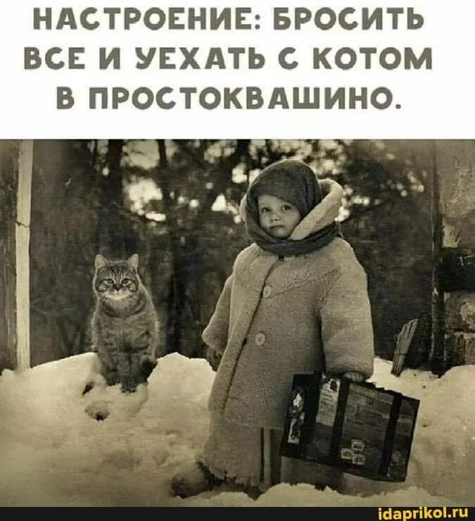 НАСТРОЕНИЕ: БРОСИТЬ ВСЕ И УЕХАТЬ С КОТОМ В ПРОСТОКВАШИНО.