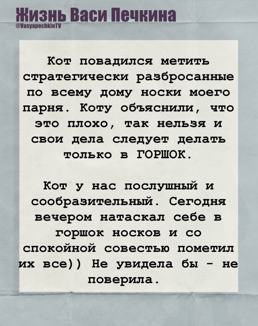 Жизнь Васи Печкина

Кот повадился метить стратегически разбросанные по всему дому носки моего парня. Коту объяснили, что это плохо, так нельзя и свои дела следует делать только в горшок.

Кот у нас послушный и сообразительный. Сегодня вечером наcтакал себе в горшок носков и со спокойной совестью пометил их все)) Не увидела бы - не поверила.