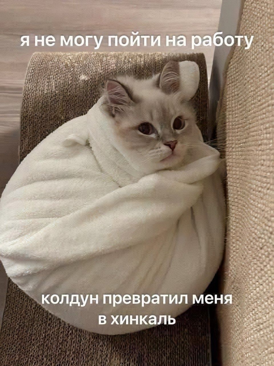 я не могу пойти на работу
колдун превратил меня в хинкалъ