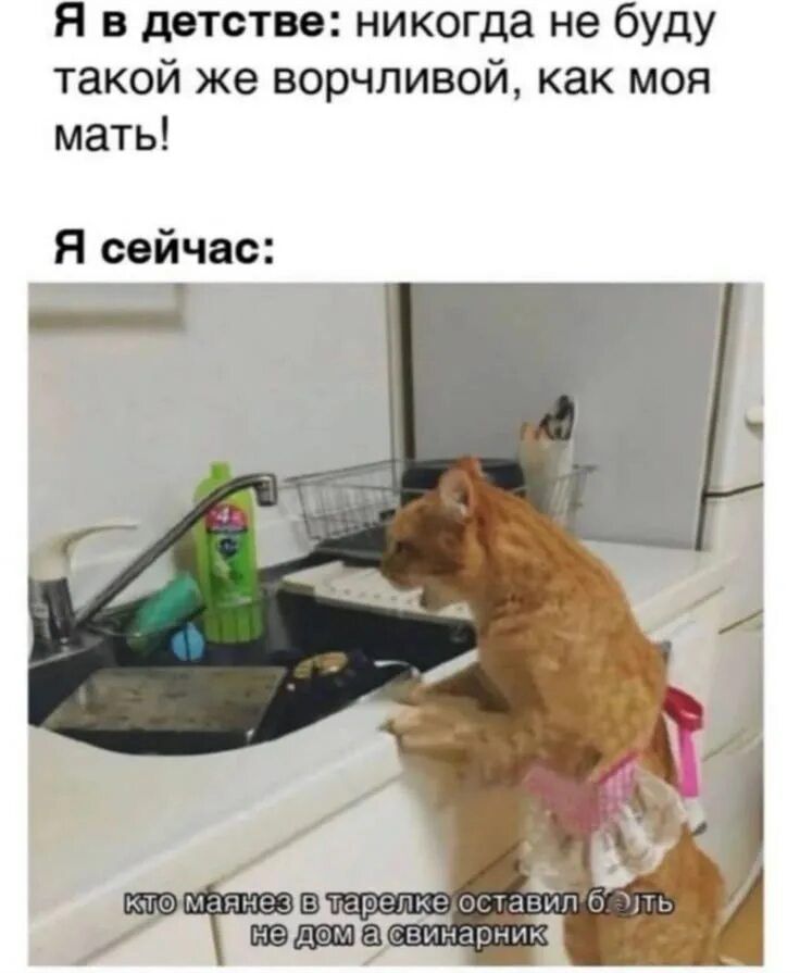 Я в детстве: никогда не буду такой же ворчливой, как моя мать! Я сейчас: [фото кота на кухне] КТО мама не в тарелке оставил бы не дом а свинарник