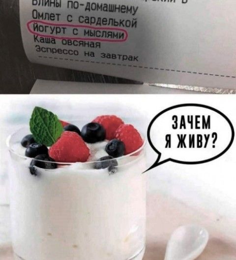 Блины по-домашнему
Омлет с сарделькой
йогурт с мыслями
Каша овсяная
Эспрессо на завтрак
Зачем я живу?