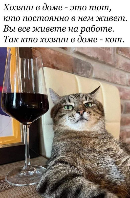 Хозяин в доме - это тот, кто постоянно в нем живет. Вы все живете на работе. Так кто хозяин в доме - кот.