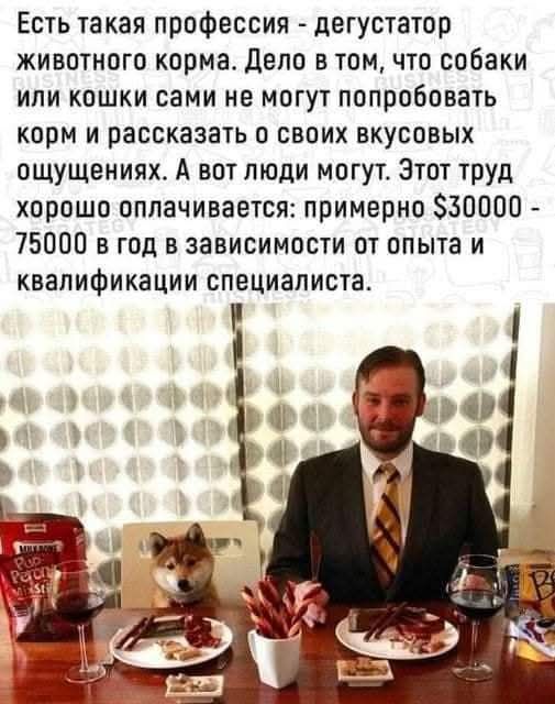 Есть такая профессия - дегустатор животного корма. Дело в том, что собаки или кошки сами не могут попробовать корм и рассказать о своих вкусовых ощущениях. А вот люди могут. Этот труд хорошо оплачивается: примерно $30000 - 75000 в год в зависимости от опыта и квалификации специалиста.