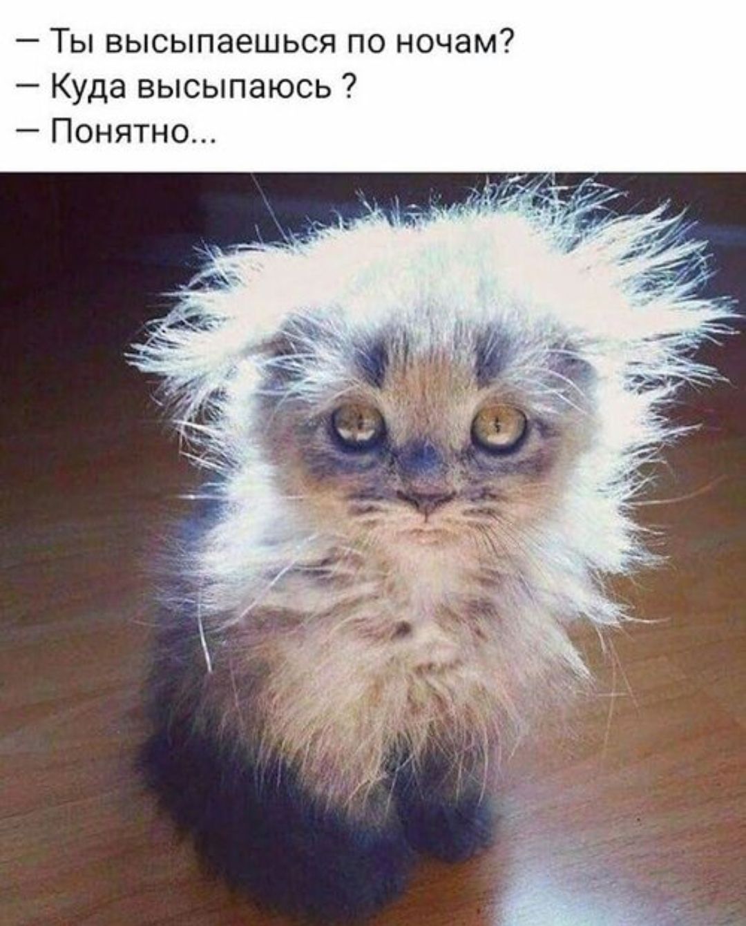 — Ты высыпaешься по ночам?
— Куда высыпaюсь ?
— Понятно...