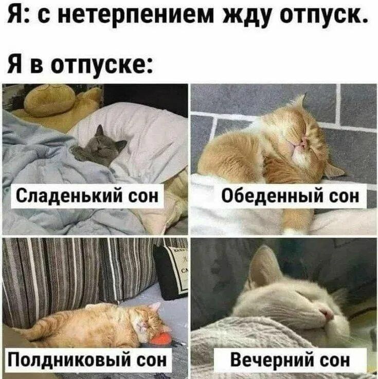 Я: с нетерпением жду отпуск. Я в отпуске:
Сладенький сон
Обеденный сон
Полдниковый сон
Вечерний сон