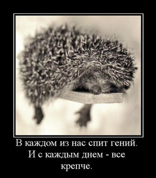 В каждом из нас спит гений. 
И с каждым днем - все крепче.