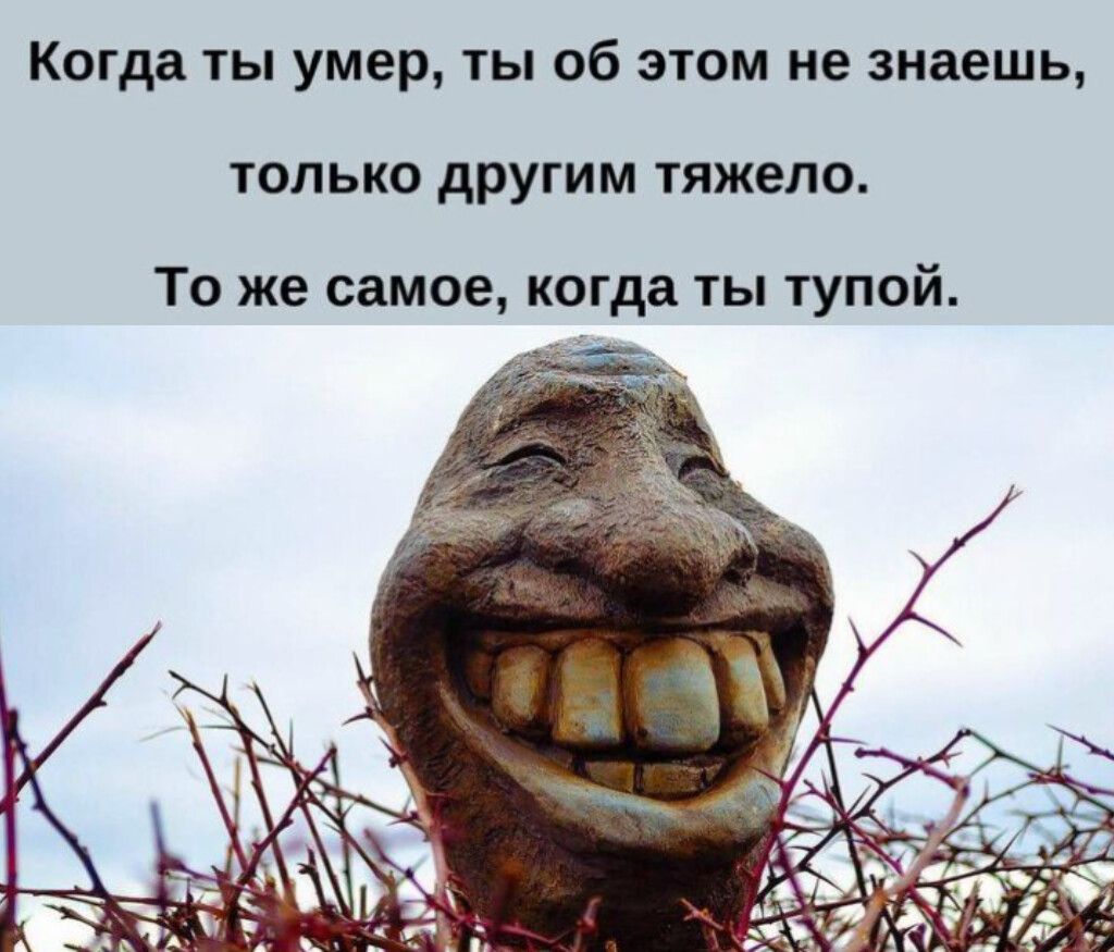 Когда ты умер, ты об этом не знаешь,\nтолько другим тяжело.\nТо же самое, когда ты тупой.