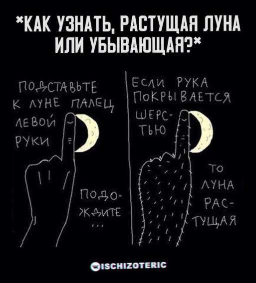 *Как узнать, растущая луна или убывающая?*
Подставьте к луне палец левой руки
Подождите...
Если рука покрывается шерстью — то луна растущая