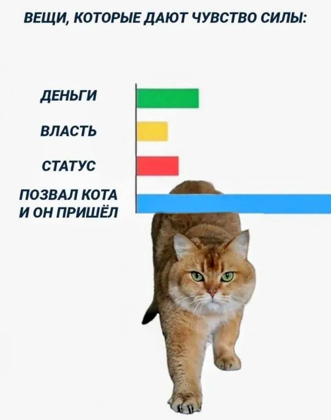 ВЕЩИ, КОТОРЫЕ ДАЮТ ЧУВСТВО СИЛЫ:\nДЕНЬГИ\nВЛАСТЬ\nСТАТУС\nПОЗВАЛ КОТА И ОН ПРИШЁЛ