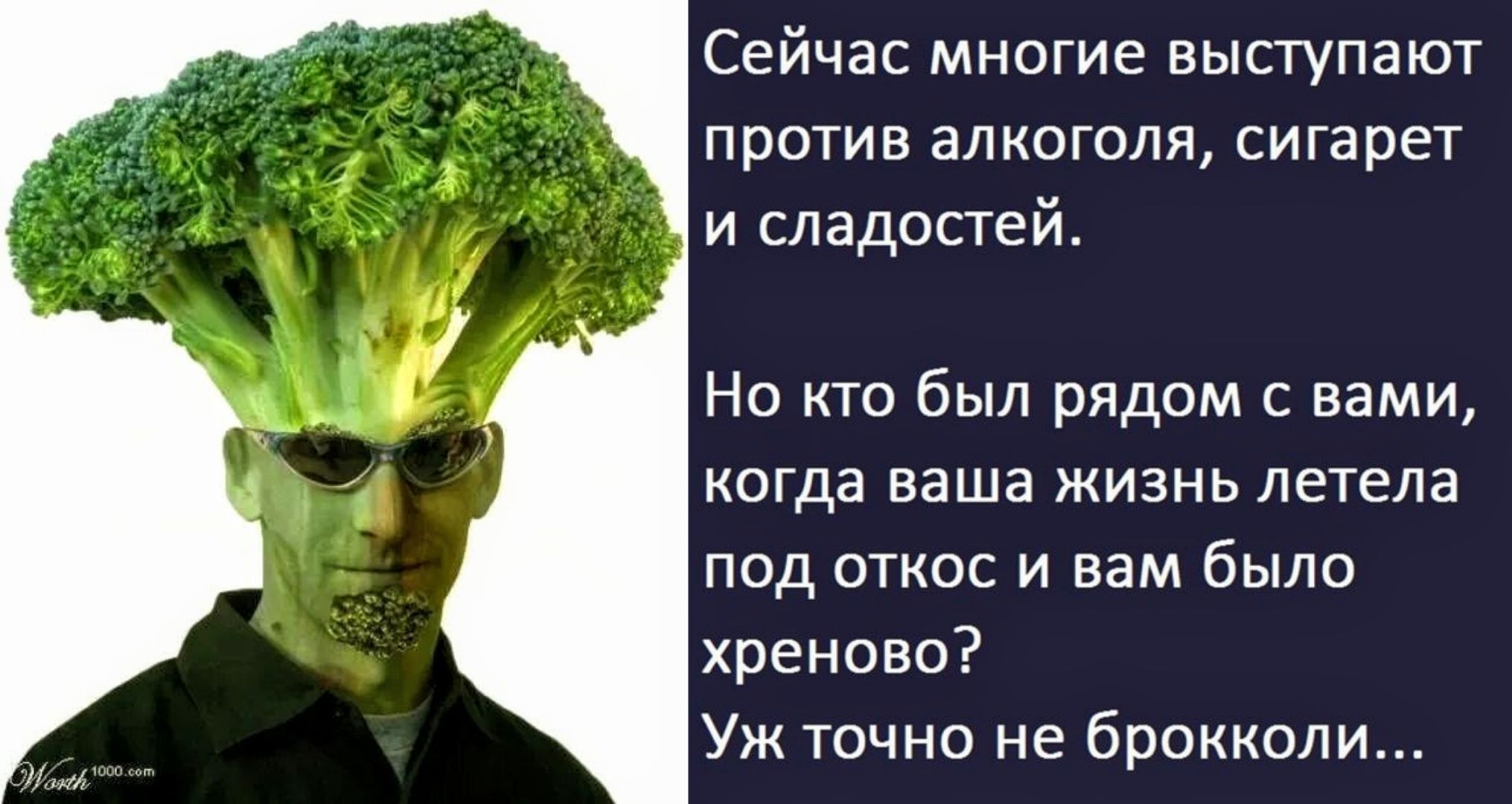 Сейчас многие выступают против алкоголя, сигарет и сладостей. Но кто был рядом с вами, когда ваша жизнь летела под откос и вам было хорено? Уж точно не брокколи...