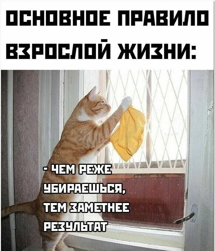 ОСНОВНОЕ ПРАВИЛО ВЗРОСЛОЙ ЖИЗНИ:\n- ЧЕМ РЕЖЕ УБИРАЕШЬСЯ, ТЕМ ЗАМЕТНЕЕ РЕЗУЛЬТАТ