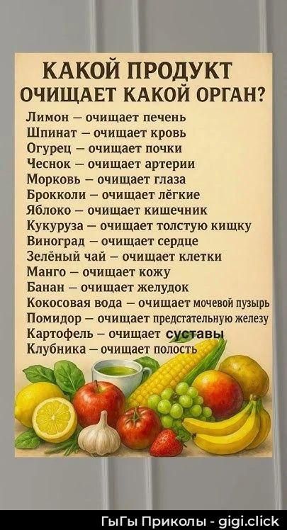 КАКОЙ ПРОДУКТ очищает КАКОЙ ОРГАН? Лимон — очищает печень Шпинат — очищает кровь Огурец — очищает почки Чеснок — очищает артерии Морковь — очищает глаза Брокколи — очищает лёгкие Яблоко — очищает кишечник Кукуруза — очищает толстую кишку Виноград — очищает сердце Зелёный чай — очищает клетки Манго — очищает кожу Банан — очищает желудок Кокосовая во