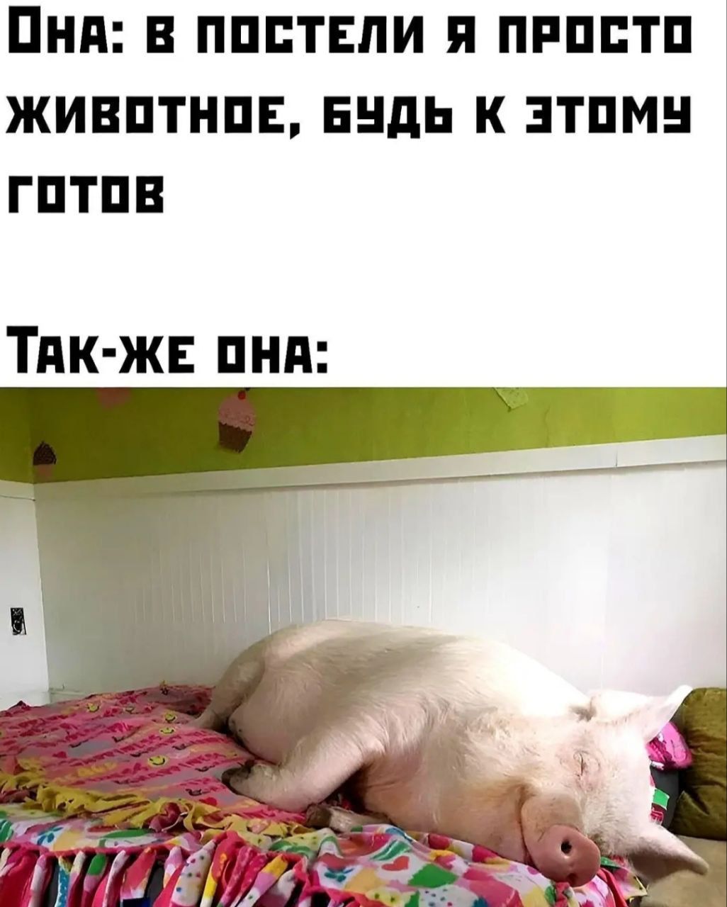 Она: в постели я просто животное, будь к этому готов Так-же она: