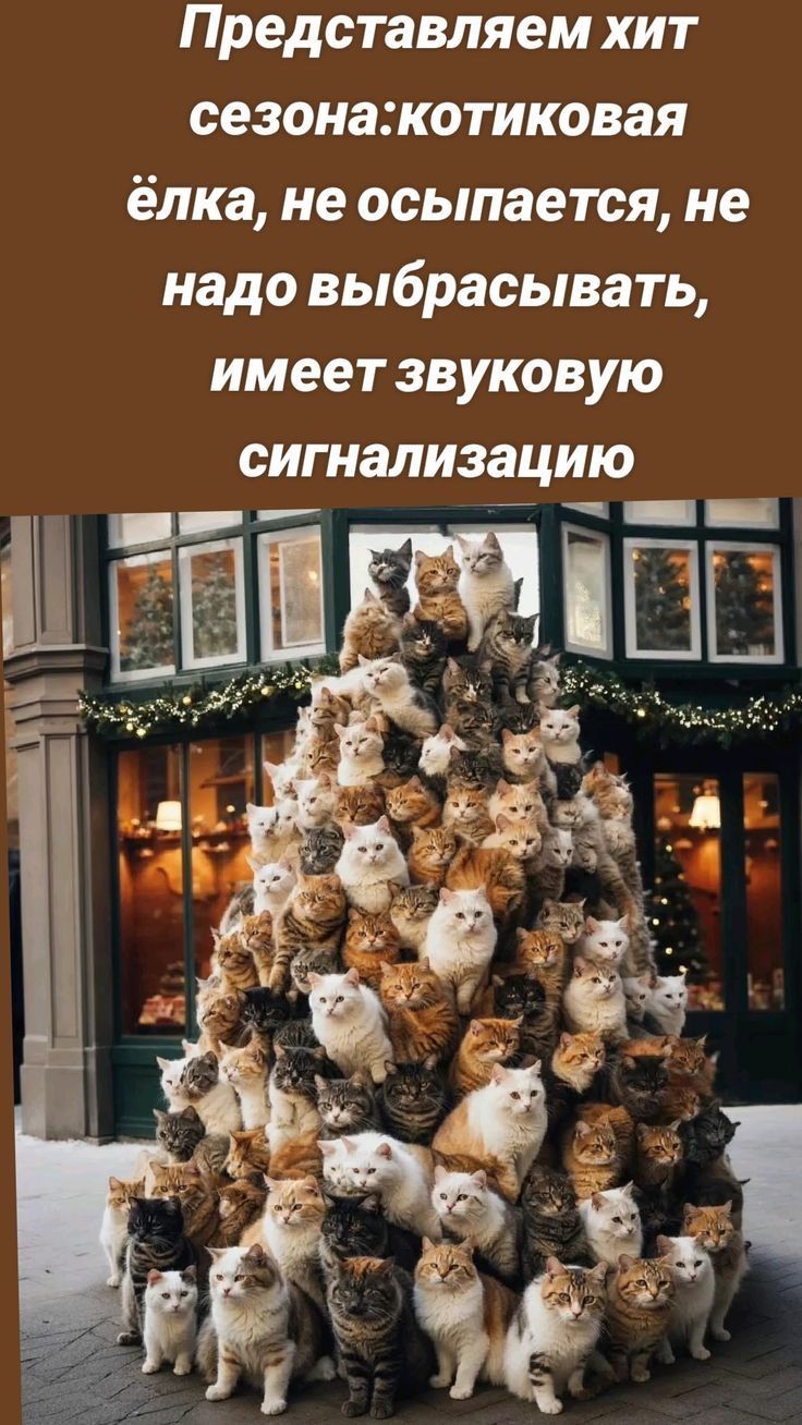 Представляем хит сезона:котиковая ёлка, не осыпается, не надо выбрасывать, имеет звуковую сигнализацию