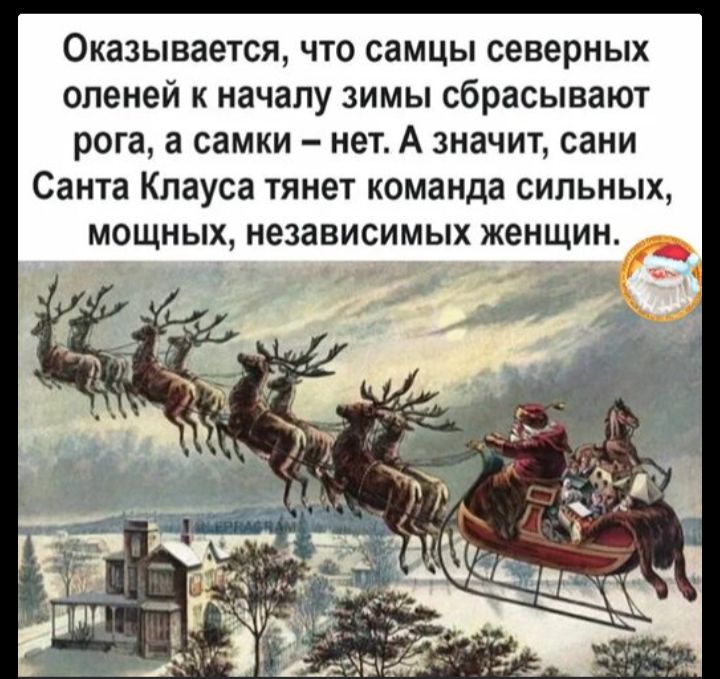 Оказывается, что самцы северных оленей к началу зимы сбрасывают рога, а самки – нет. А значит, санки Санта Клауса тянут команда сильных, мощных, независимых женщин.