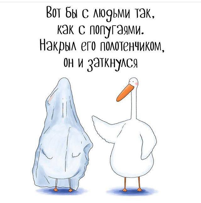 Вот бы с людьми так, как с попугаями. Накрыл его полотенчиком, он и заткнулся