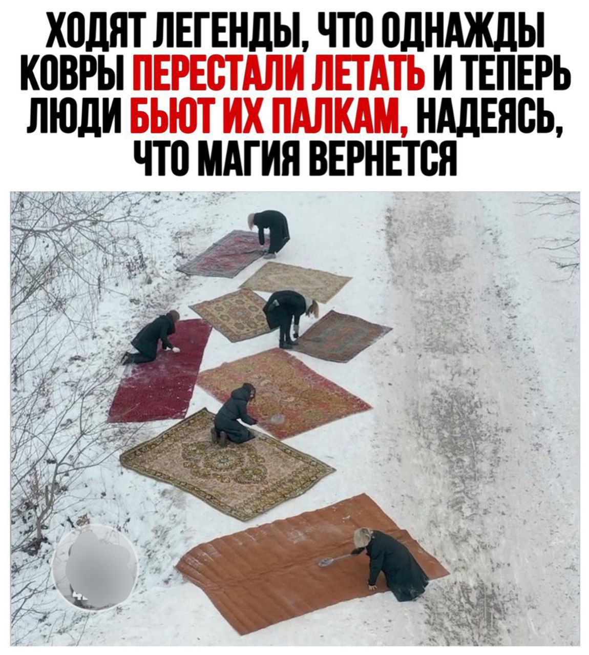 ХОДЯТ ЛЕГЕНДЫ, ЧТО ОДНАЖДЫ КОВРЫ ПЕРЕСТАЛИ ЛЕТАТЬ И ТЕПЕРЬ ЛЮДИ БЬЮТ ИХ ПАЛКАМ, НАДЕЖДЕСЬ, ЧТО МАГИЯ ВЕРНЕТСЯ
