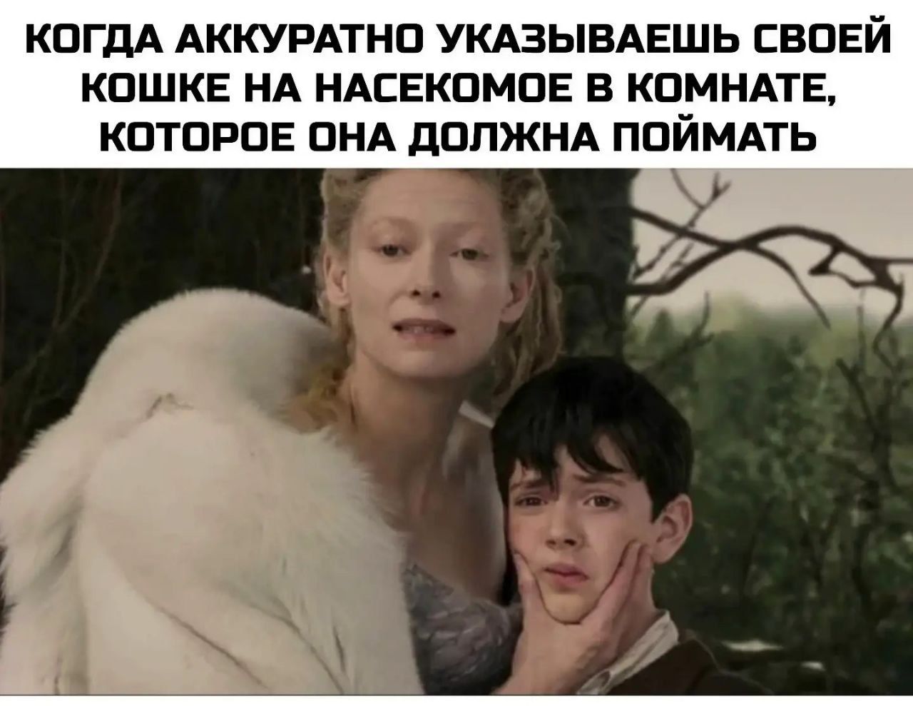когда аккуратно указываешь своей кошке на насекомое в комнате, которое она должна поймать