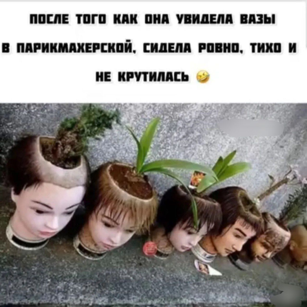 после того как она увидела вазЫ в парикмахерской, сидела ровно, тихо и не крутилась 🤣