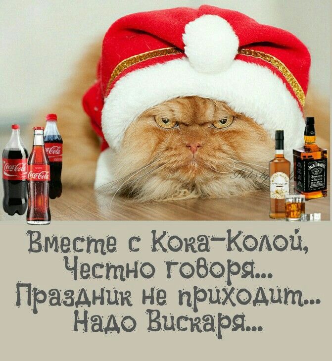 Вместе с Кока-Колой, Честно говоря... Праздник не приходит... Надо вискара...