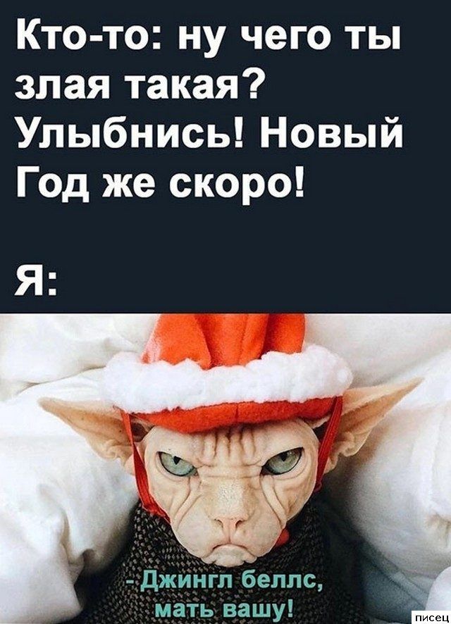 Кто-то: ну чего ты злая такая? Улыбнись! Новый Год же скоро!
Я:
- Джингл беллс, мать вашу!
