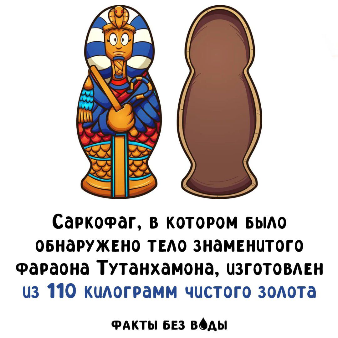 Саркофаг, в котором было обнаружено тело знаменитого фараона Тутанхамона, изготовлен из 110 килограммов чистого золота. ФАКТЫ БЕЗ ВОДЫ
