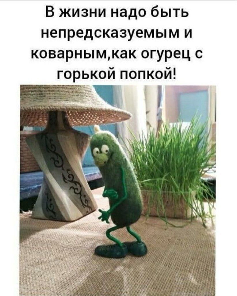 В жизни надо быть непредсказуемым и коварным, как огурец с горькой попкой!