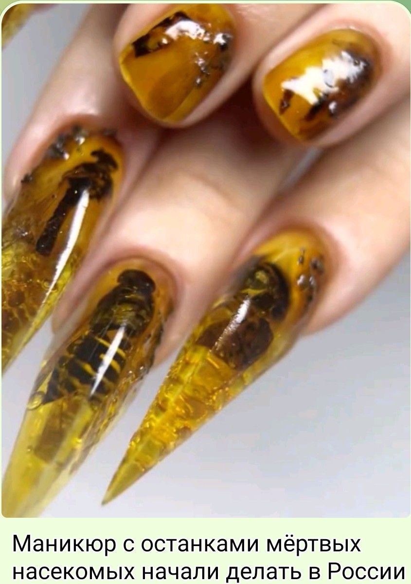 Маникюр с останками мёртвых насекомых начали делать в России