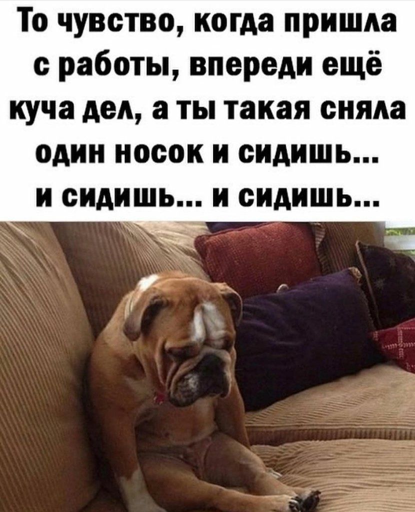 То чувство, когда пришла с работы, впереди ещё куча дел, а ты такая сняла один носок и сидишь... и сидишь... и сидишь...