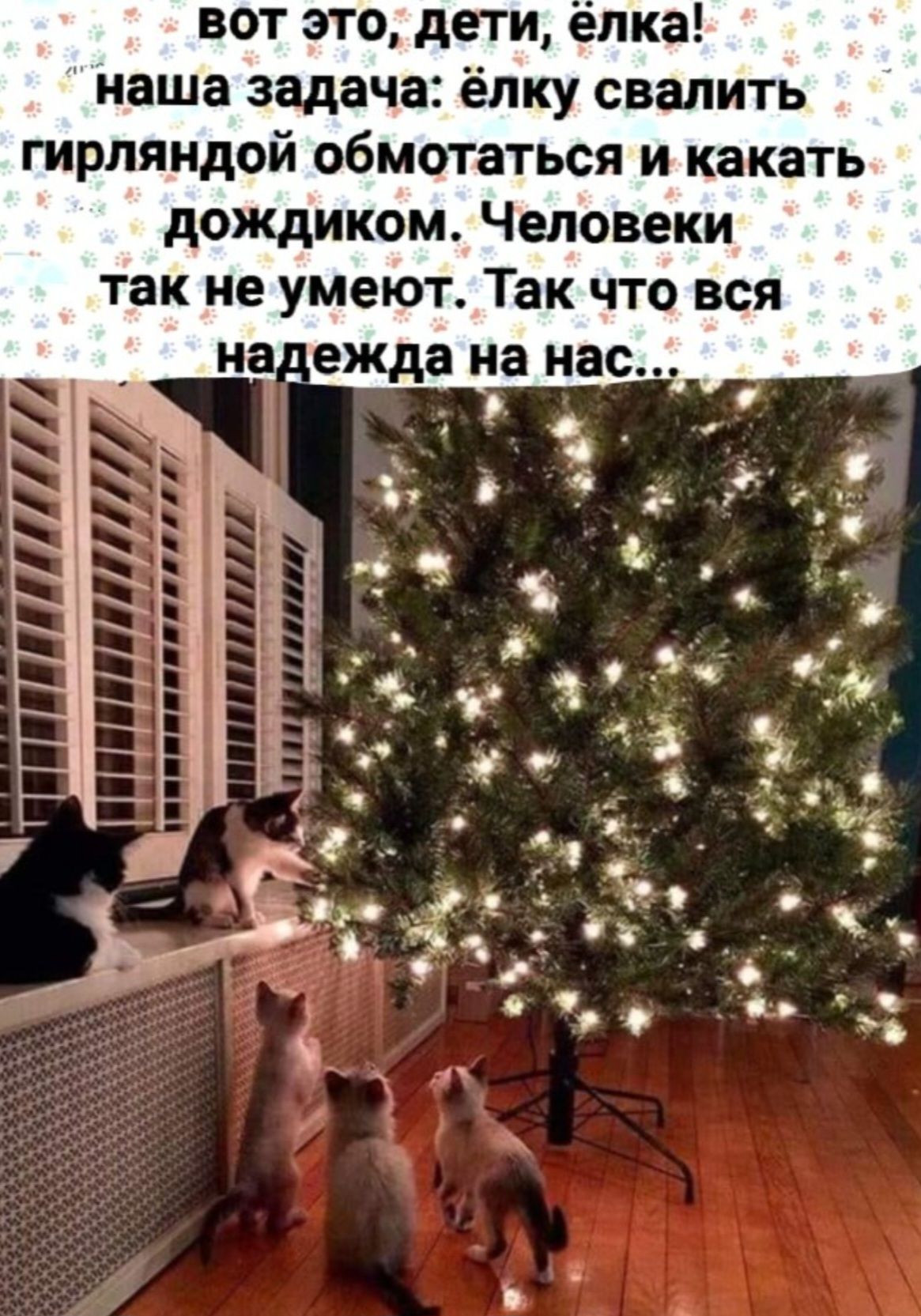 Вот это, дети, ёлка! Наша задача: ёлку свалить гирляндой обмотаться и кидать дождиком. Человеки так не умеют. Так что вся надежда на нас...