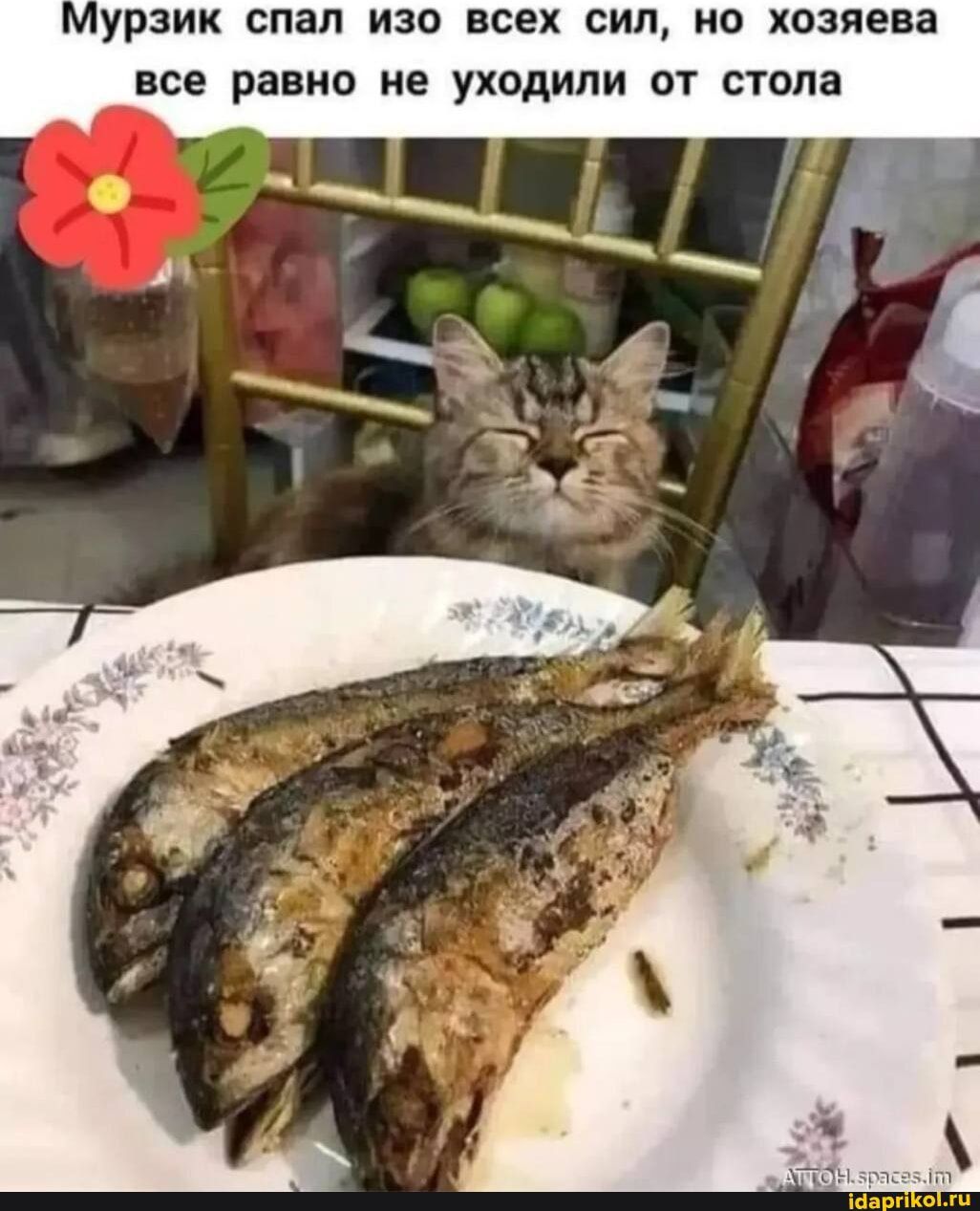 Мурзик спал изо всех сил, но хозяева всё равно не уходили от стола.