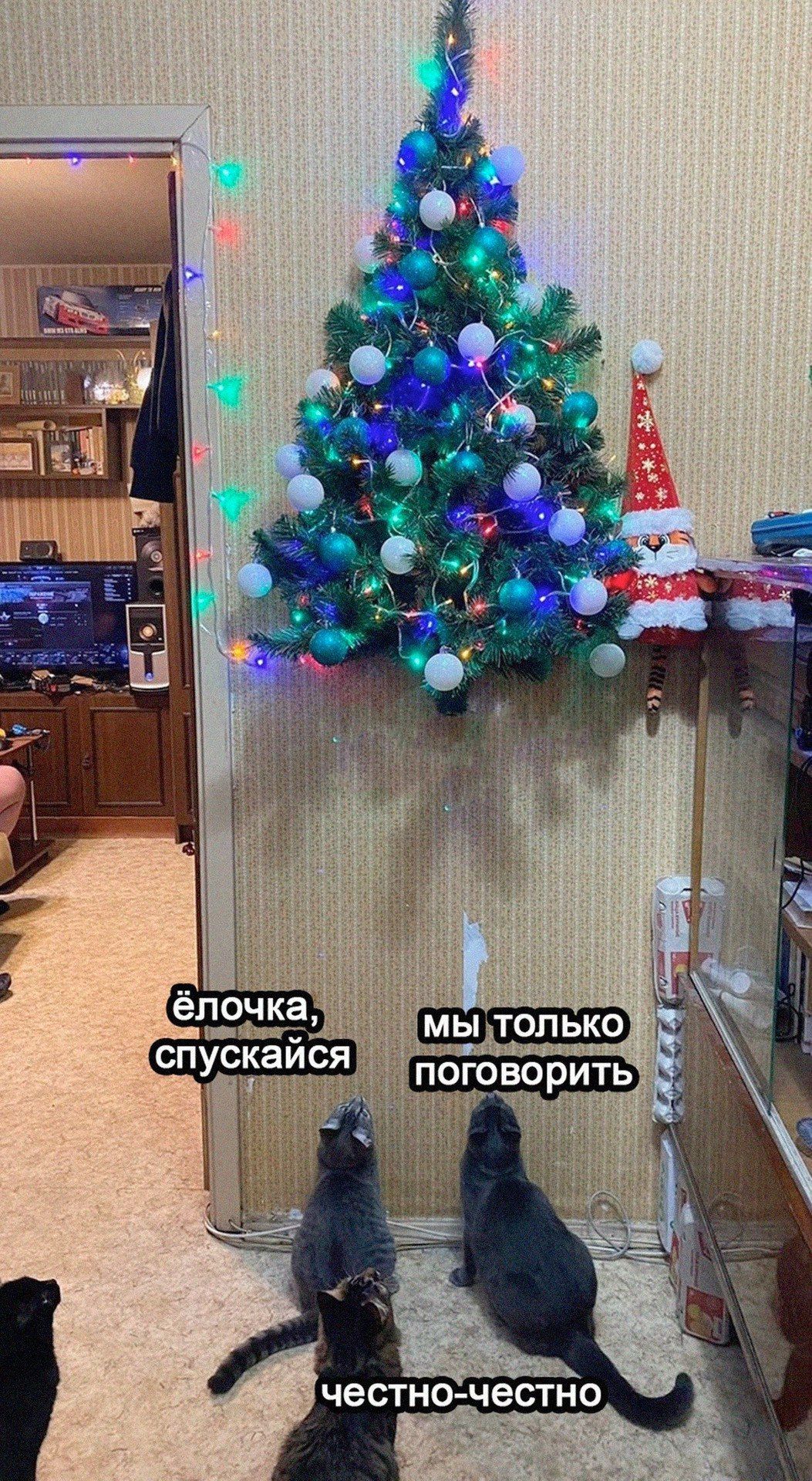 ёлочка, спускайся
мы только поговорить
честно-честно